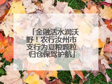 金融活水润沃野！农行汝州市支行为夏粮颗粒归仓保驾护航