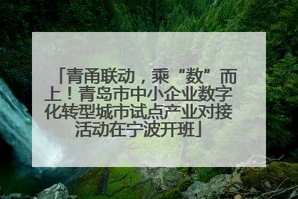 青甬联动，乘“数”而上！青岛市中小企业数字化转型城市试点产业对接活动在宁波开班