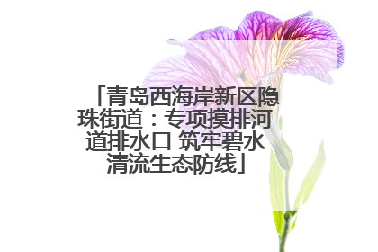 青岛西海岸新区隐珠街道：专项摸排河道排水口 筑牢碧水清流生态防线