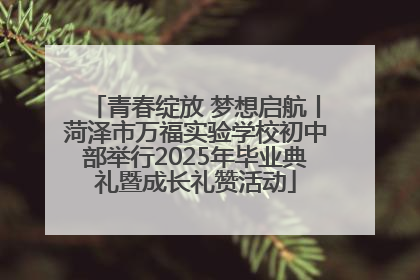 青春绽放 梦想启航丨菏泽市万福实验学校初中部举行2025年毕业典礼暨成长礼赞活动