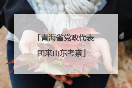 青海省党政代表团来山东考察