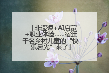 非遗课+AI启蒙+职业体验……宿迁千名乡村儿童的“快乐暑光”来了