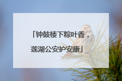 钟鼓楼下粽叶香，莲湖公安护安康