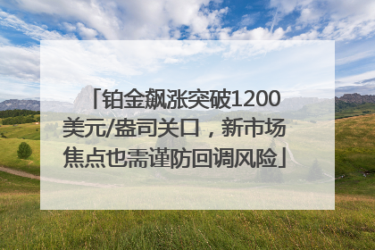 铂金飙涨突破1200美元/盎司关口，新市场焦点也需谨防回调风险