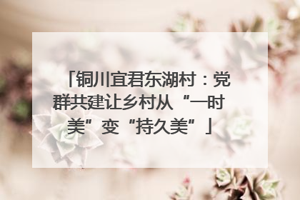 铜川宜君东湖村：党群共建让乡村从“一时美”变“持久美”