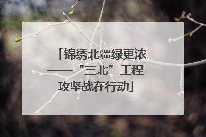锦绣北疆绿更浓——“三北”工程攻坚战在行动