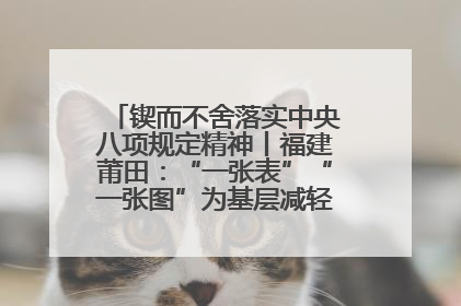 锲而不舍落实中央八项规定精神丨福建莆田：“一张表”“一张图”为基层减轻“数字负担”