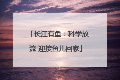 长江有鱼：科学放流 迎接鱼儿回家