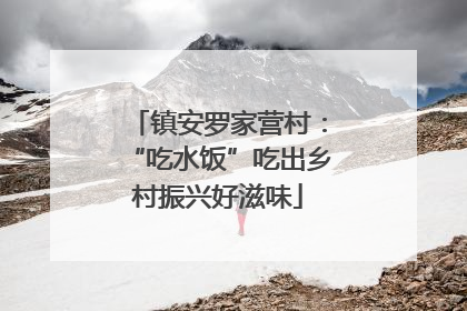 镇安罗家营村：“吃水饭”吃出乡村振兴好滋味