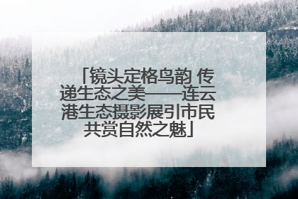 镜头定格鸟韵 传递生态之美——连云港生态摄影展引市民共赏自然之魅
