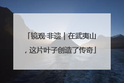 镜观·非遗｜在武夷山，这片叶子创造了传奇
