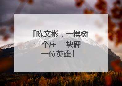 陈文彬：一棵树 一个庄 一块碑 一位英雄