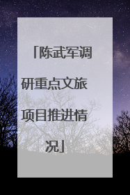 陈武军调研重点文旅项目推进情况