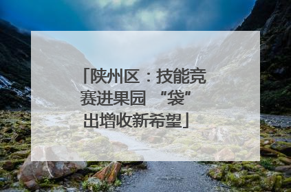 陕州区：技能竞赛进果园 “袋”出增收新希望