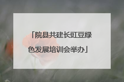 院县共建长豇豆绿色发展培训会举办