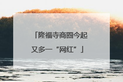 隆福寺商圈今起又多一“网红”
