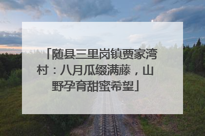 随县三里岗镇贾家湾村：八月瓜缀满藤，山野孕育甜蜜希望