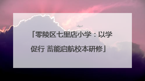 零陵区七里店小学：以学促行 蓄能启航校本研修