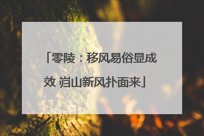 零陵：移风易俗显成效 岿山新风扑面来