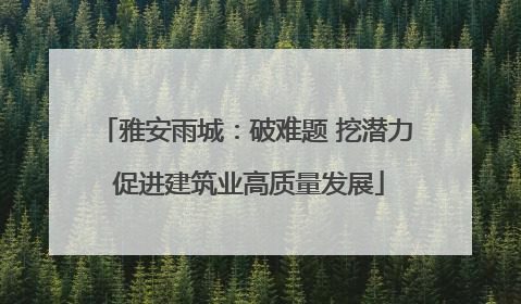 雅安雨城：破难题 挖潜力 促进建筑业高质量发展