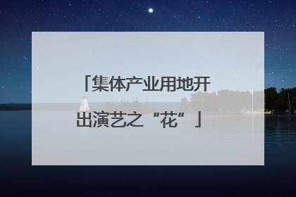 集体产业用地开出演艺之“花”