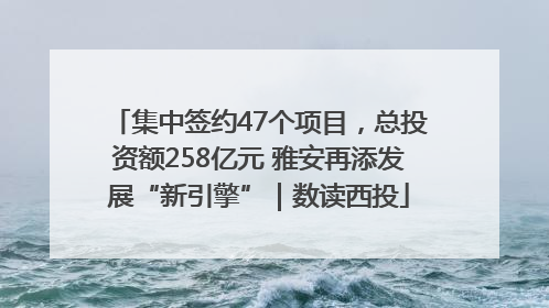 集中签约47个项目，总投资额258亿元 雅安再添发展“新引擎”｜数读西投