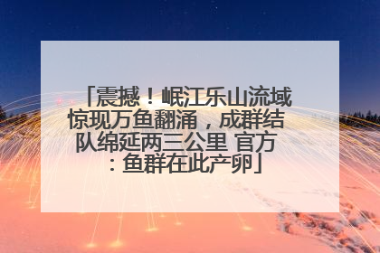 震撼！岷江乐山流域惊现万鱼翻涌，成群结队绵延两三公里 官方：鱼群在此产卵