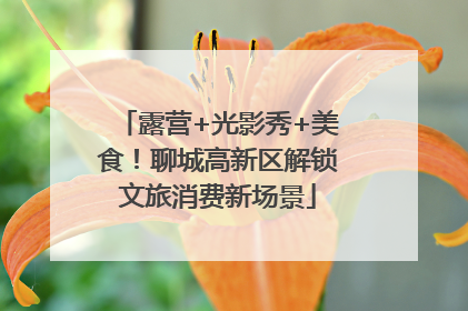 露营+光影秀+美食！聊城高新区解锁文旅消费新场景