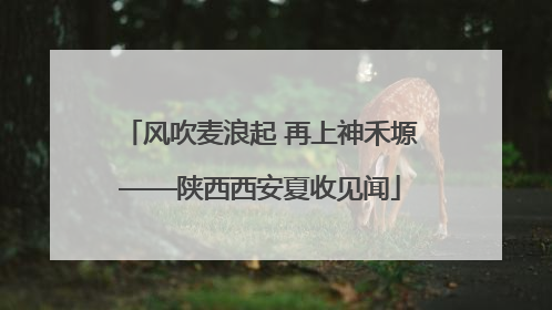 风吹麦浪起 再上神禾塬——陕西西安夏收见闻