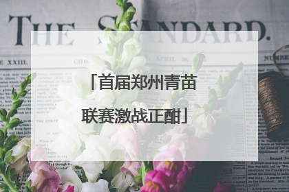 首届郑州青苗联赛激战正酣