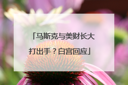 马斯克与美财长大打出手？白宫回应