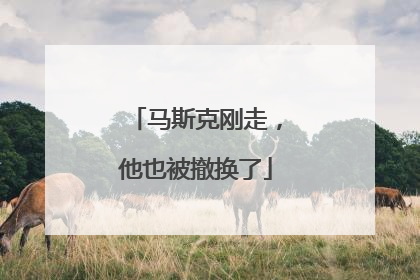 马斯克刚走，他也被撤换了
