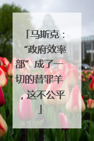 马斯克：“政府效率部”成了一切的替罪羊，这不公平