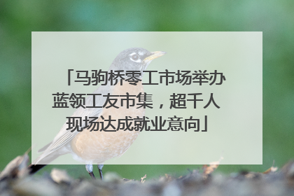 马驹桥零工市场举办蓝领工友市集，超千人现场达成就业意向