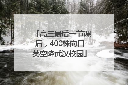 高三最后一节课后，400株向日葵空降武汉校园