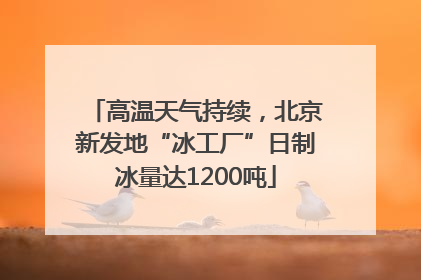 高温天气持续，北京新发地“冰工厂”日制冰量达1200吨