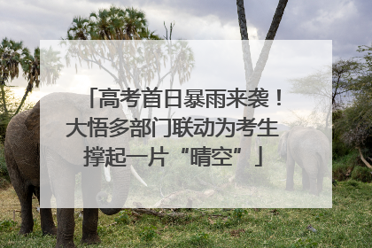 高考首日暴雨来袭！大悟多部门联动为考生撑起一片“晴空”