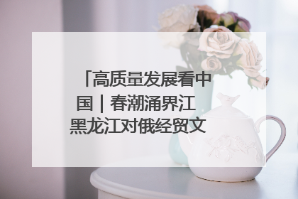 高质量发展看中国｜春潮涌界江 黑龙江对俄经贸文旅交流绿意盎然