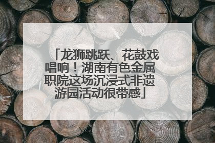 龙狮跳跃、花鼓戏唱响！湖南有色金属职院这场沉浸式非遗游园活动很带感