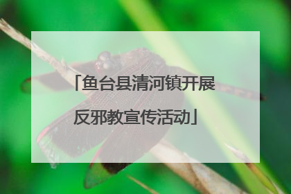 鱼台县清河镇开展反邪教宣传活动