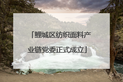 鲤城区纺织面料产业链党委正式成立