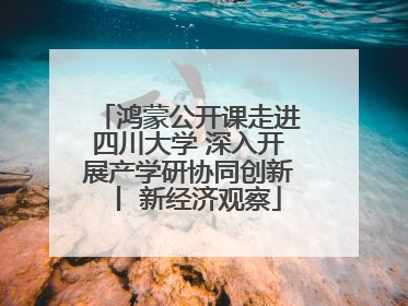 鸿蒙公开课走进四川大学 深入开展产学研协同创新丨 新经济观察