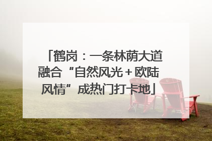 鹤岗：一条林荫大道融合“自然风光＋欧陆风情”成热门打卡地