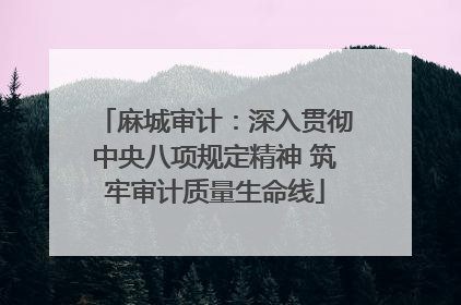 麻城审计：深入贯彻中央八项规定精神 筑牢审计质量生命线