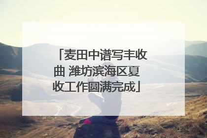 麦田中谱写丰收曲 潍坊滨海区夏收工作圆满完成
