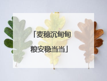 麦穗沉甸甸 粮安稳当当