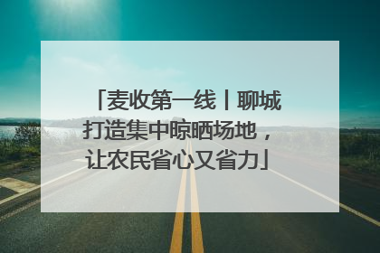 麦收第一线丨聊城打造集中晾晒场地，让农民省心又省力