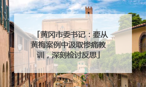 黄冈市委书记：要从黄梅案例中汲取惨痛教训，深刻检讨反思