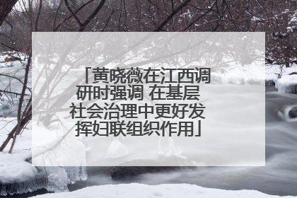黄晓薇在江西调研时强调 在基层社会治理中更好发挥妇联组织作用