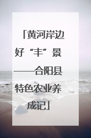 黄河岸边好“丰”景——合阳县特色农业养成记